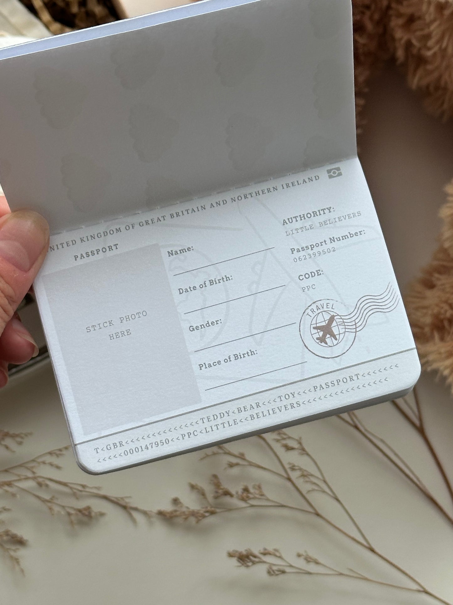 Teddy Bear Passport