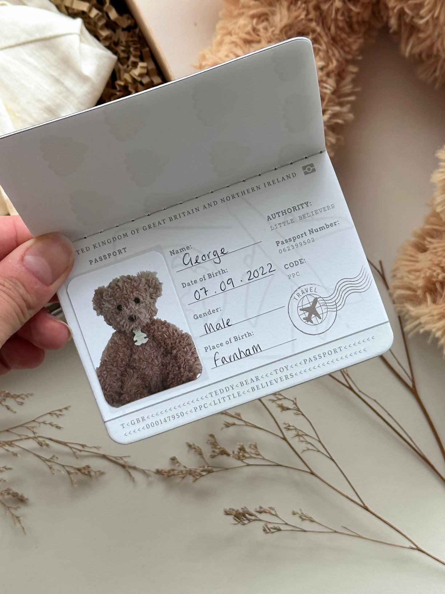 Teddy Bear Passport