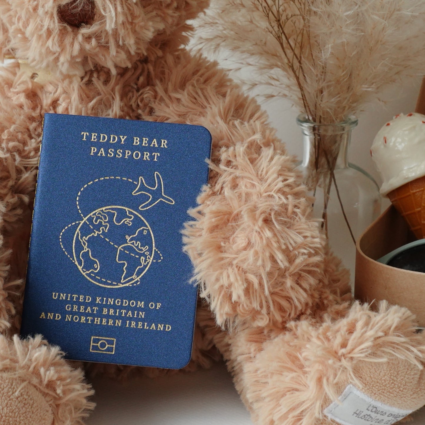 Teddy Bear Passport